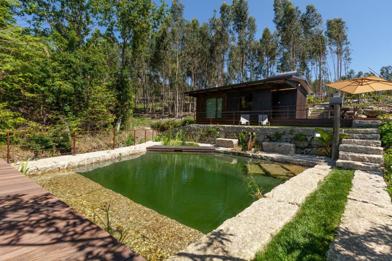 Вілла Casa Do Monte Da Veiga - Minho'S Guest Повуа-де-Ланнюзу Екстер'єр фото