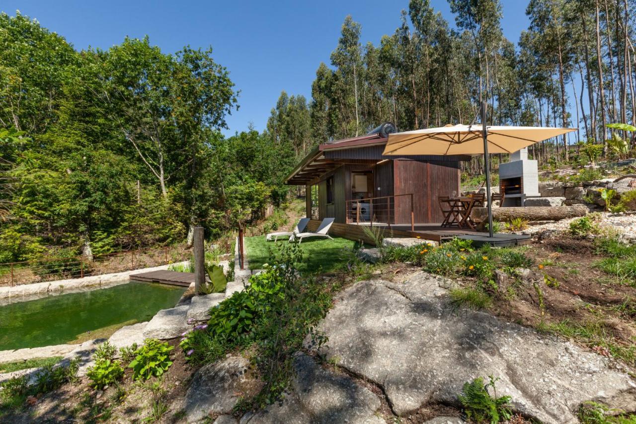 Вілла Casa Do Monte Da Veiga - Minho'S Guest Повуа-де-Ланнюзу Екстер'єр фото
